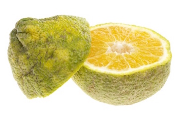 Ugli Fruit